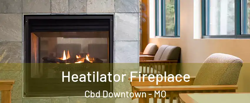 Heatilator Fireplace Cbd Downtown - MO