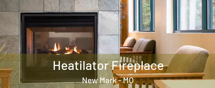 Heatilator Fireplace New Mark - MO