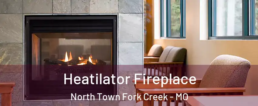 Heatilator Fireplace North Town Fork Creek - MO