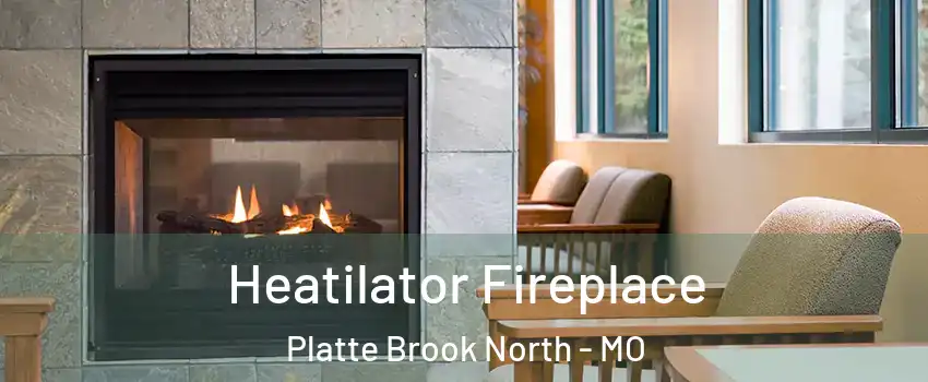 Heatilator Fireplace Platte Brook North - MO