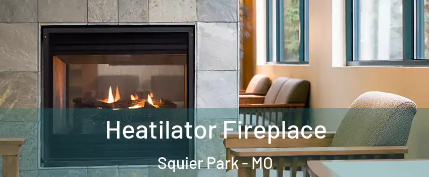 Heatilator Fireplace Squier Park - MO