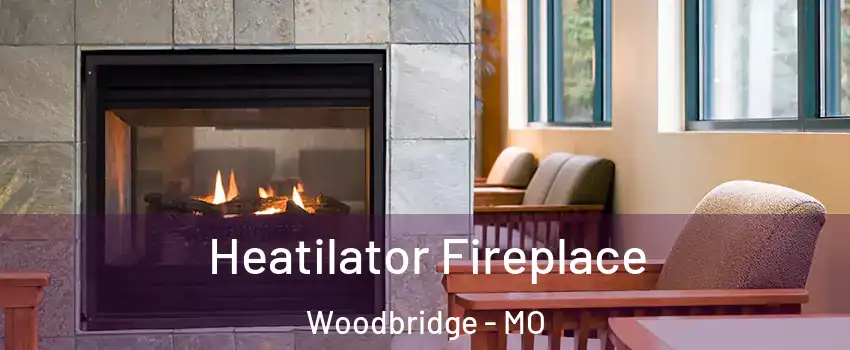 Heatilator Fireplace Woodbridge - MO