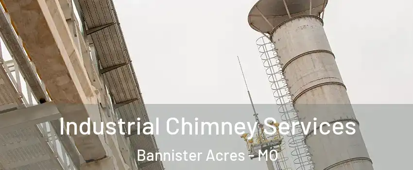 Industrial Chimney Services Bannister Acres - MO