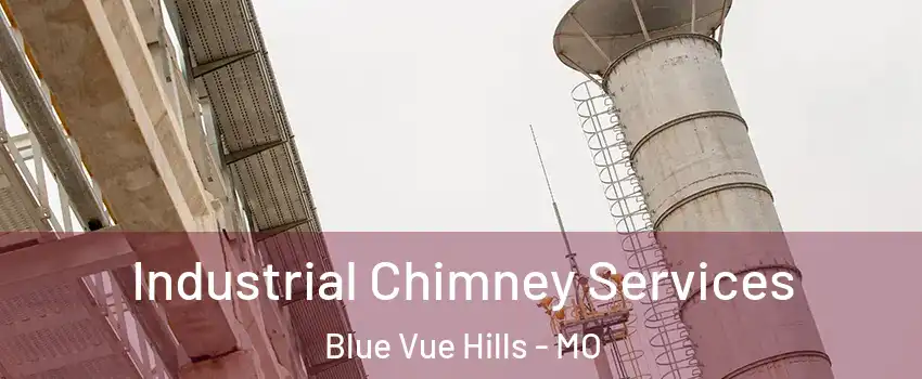 Industrial Chimney Services Blue Vue Hills - MO