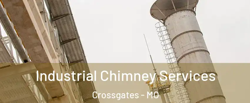 Industrial Chimney Services Crossgates - MO