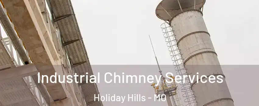 Industrial Chimney Services Holiday Hills - MO