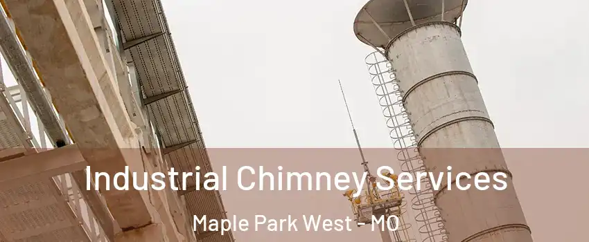 Industrial Chimney Services Maple Park West - MO