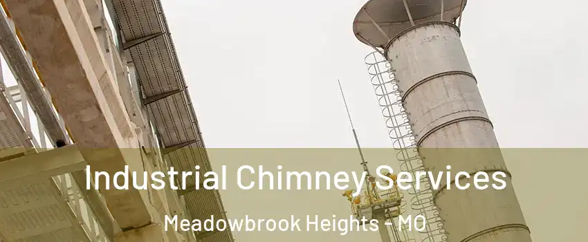 Industrial Chimney Services Meadowbrook Heights - MO