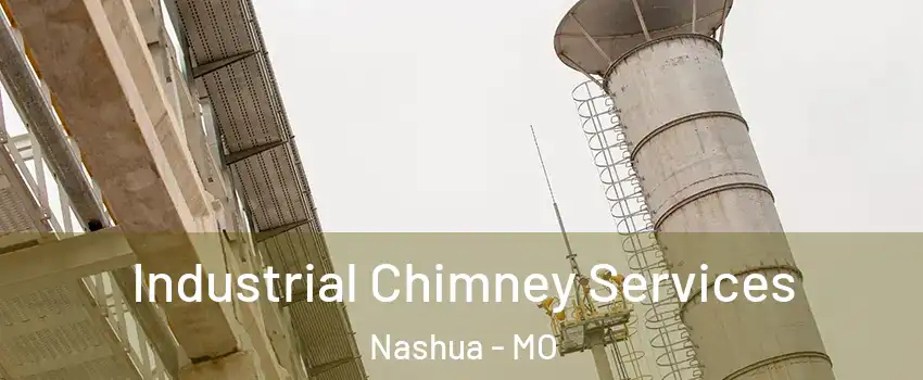 Industrial Chimney Services Nashua - MO