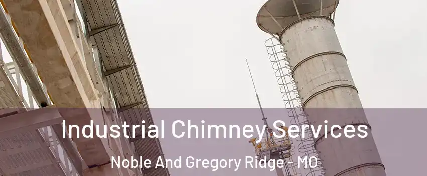 Industrial Chimney Services Noble And Gregory Ridge - MO