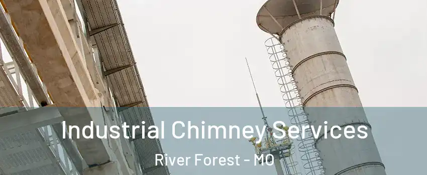 Industrial Chimney Services River Forest - MO