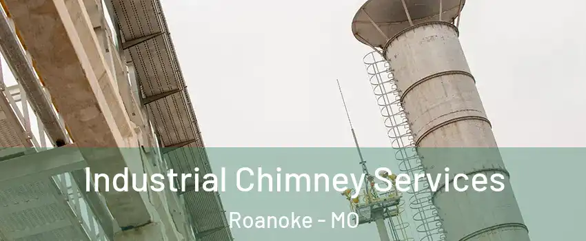 Industrial Chimney Services Roanoke - MO