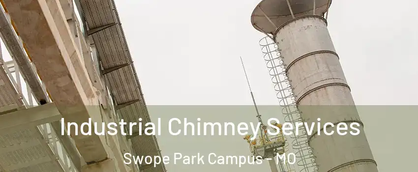 Industrial Chimney Services Swope Park Campus - MO