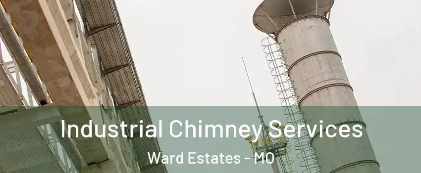 Industrial Chimney Services Ward Estates - MO