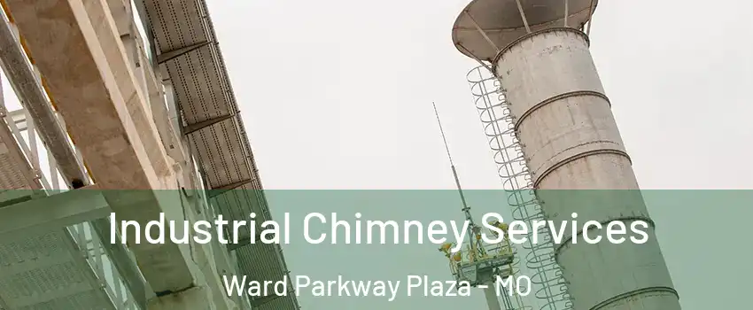 Industrial Chimney Services Ward Parkway Plaza - MO