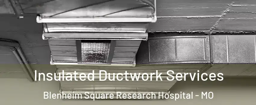 Insulated Ductwork Services Blenheim Square Research Hospital - MO