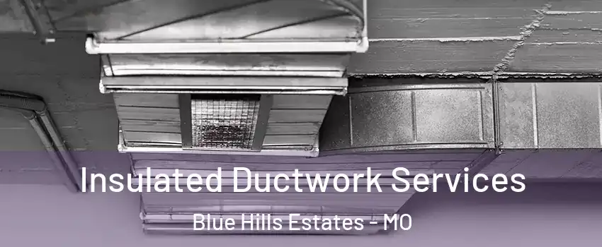 Insulated Ductwork Services Blue Hills Estates - MO