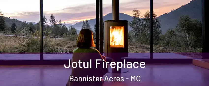 Jotul Fireplace Bannister Acres - MO