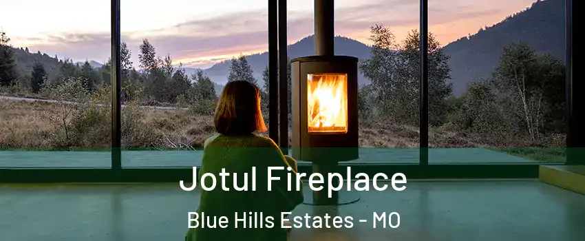 Jotul Fireplace Blue Hills Estates - MO