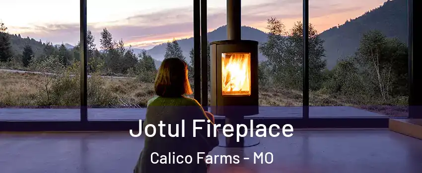 Jotul Fireplace Calico Farms - MO