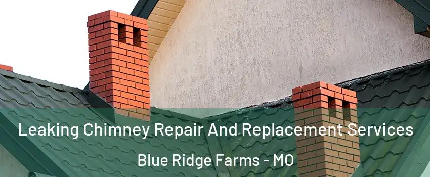 Leaking Chimney Repair And Replacement Services Blue Ridge Farms - MO