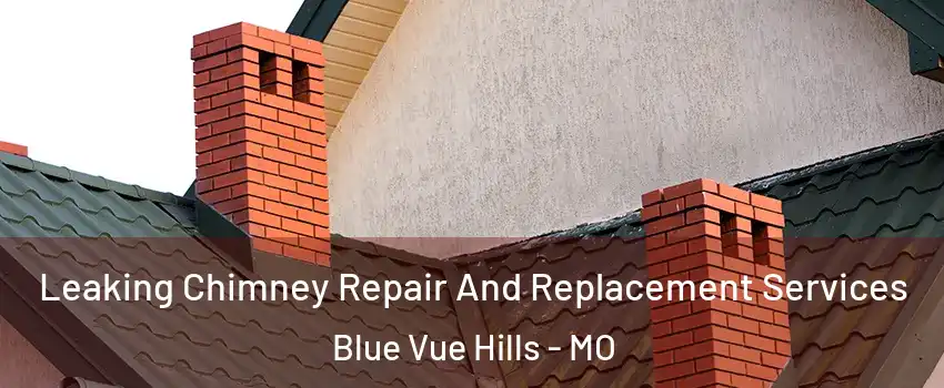 Leaking Chimney Repair And Replacement Services Blue Vue Hills - MO