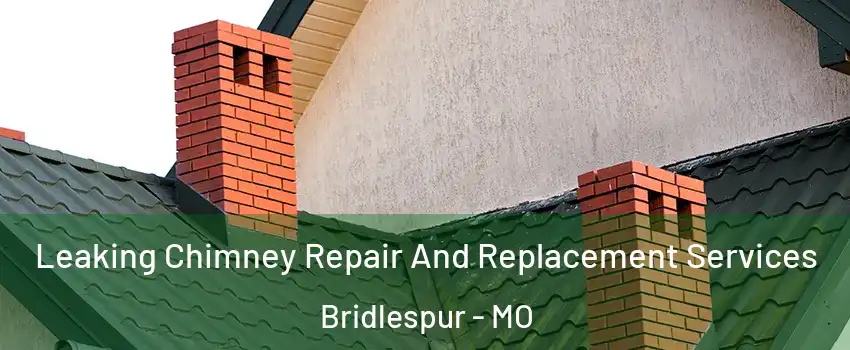 Leaking Chimney Repair And Replacement Services Bridlespur - MO