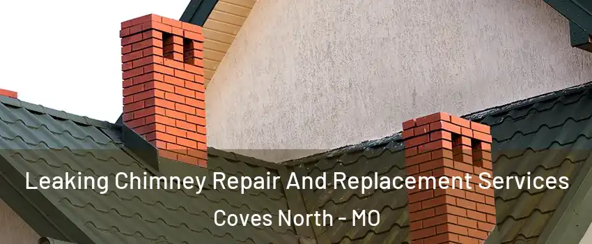 Leaking Chimney Repair And Replacement Services Coves North - MO