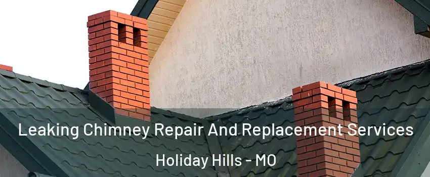 Leaking Chimney Repair And Replacement Services Holiday Hills - MO