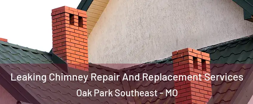 Leaking Chimney Repair And Replacement Services Oak Park Southeast - MO