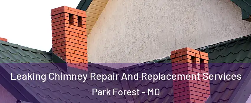 Leaking Chimney Repair And Replacement Services Park Forest - MO