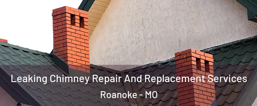 Leaking Chimney Repair And Replacement Services Roanoke - MO