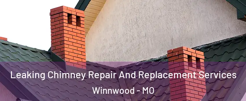 Leaking Chimney Repair And Replacement Services Winnwood - MO