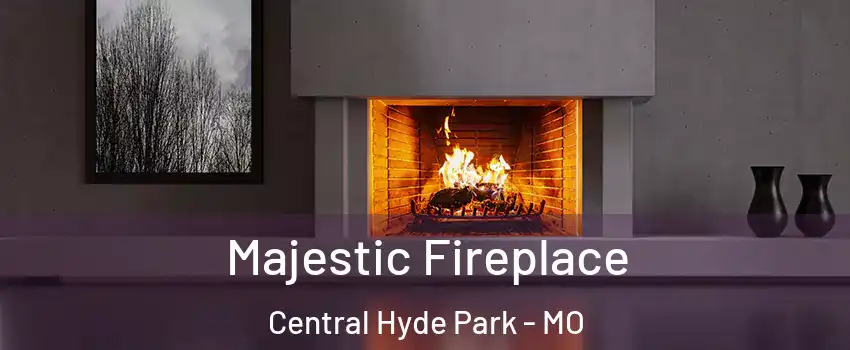 Majestic Fireplace Central Hyde Park - MO