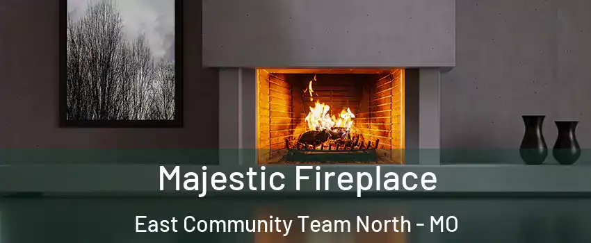 Majestic Fireplace East Community Team North - MO