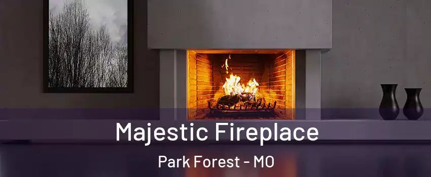 Majestic Fireplace Park Forest - MO