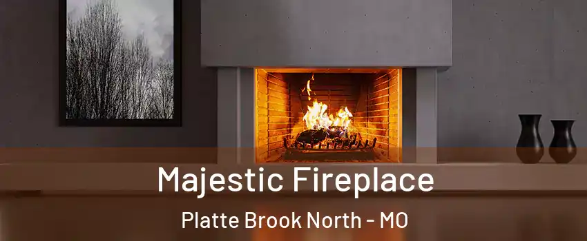 Majestic Fireplace Platte Brook North - MO