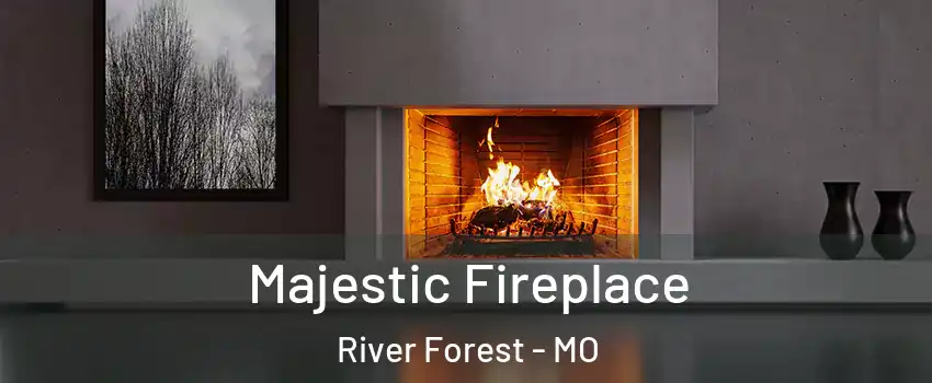 Majestic Fireplace River Forest - MO