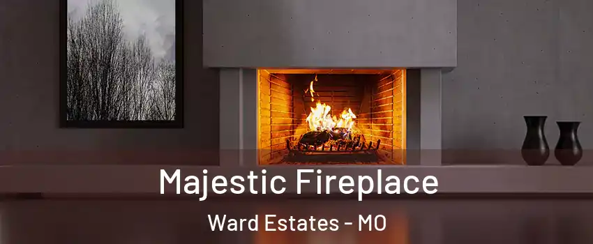 Majestic Fireplace Ward Estates - MO