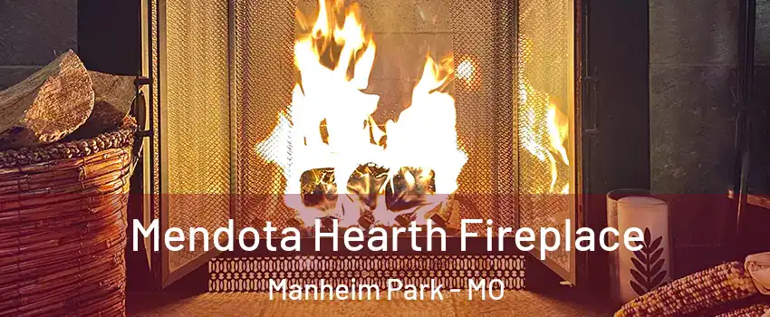 Mendota Hearth Fireplace Manheim Park - MO