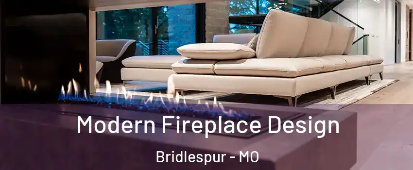 Modern Fireplace Design Bridlespur - MO