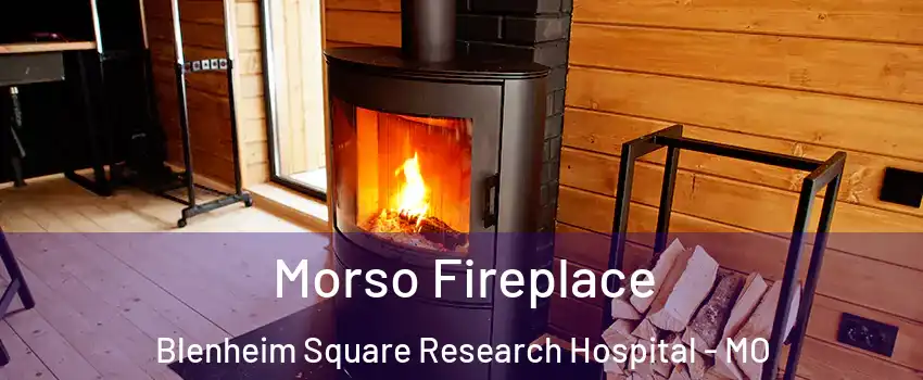 Morso Fireplace Blenheim Square Research Hospital - MO