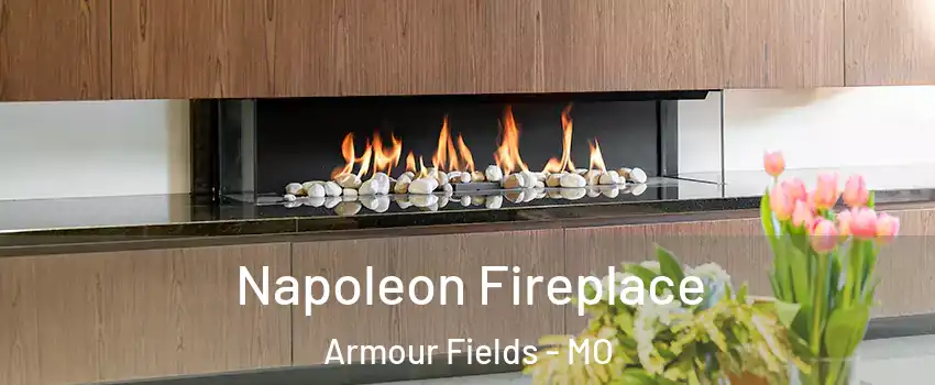 Napoleon Fireplace Armour Fields - MO