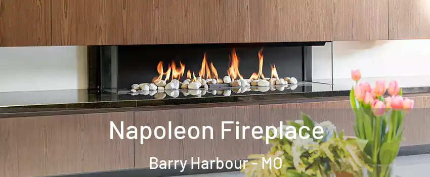 Napoleon Fireplace Barry Harbour - MO