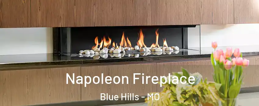 Napoleon Fireplace Blue Hills - MO