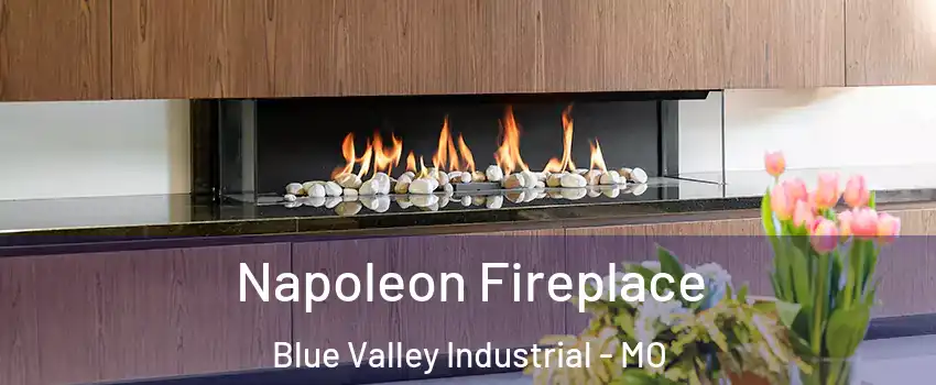 Napoleon Fireplace Blue Valley Industrial - MO