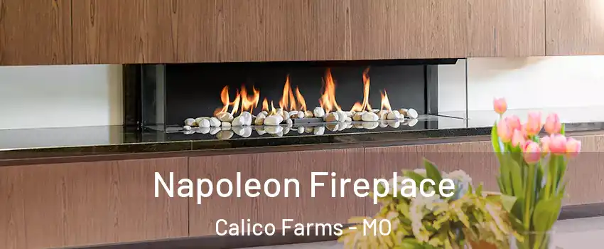 Napoleon Fireplace Calico Farms - MO