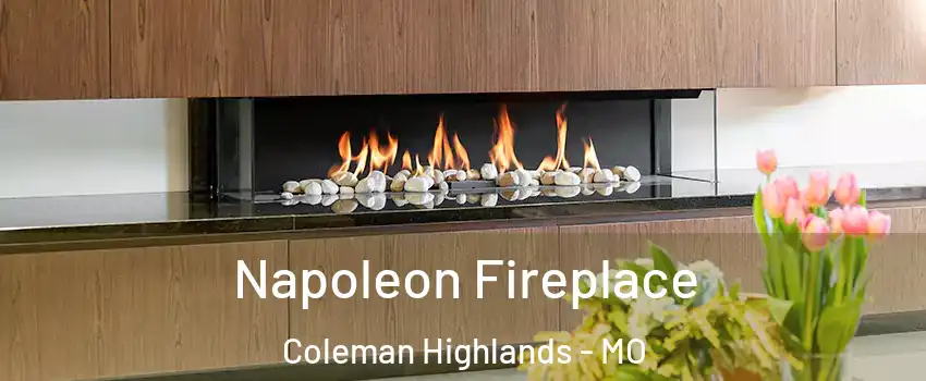 Napoleon Fireplace Coleman Highlands - MO