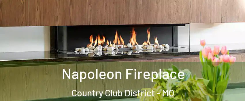 Napoleon Fireplace Country Club District - MO