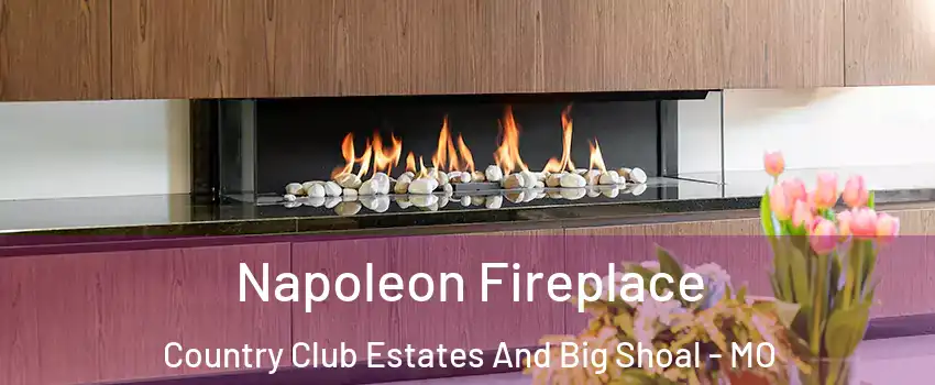 Napoleon Fireplace Country Club Estates And Big Shoal - MO